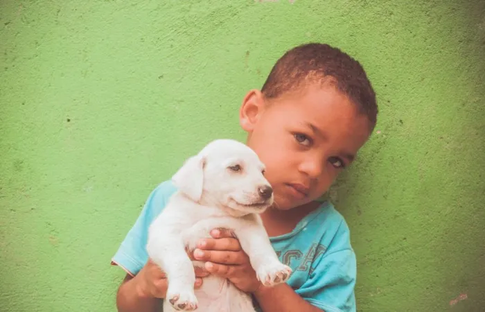 Cachorro ra a SRD  idade Abaixo de 2 meses nome Filhotes 