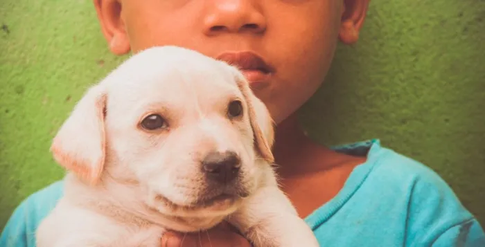 Cachorro ra a SRD  idade Abaixo de 2 meses nome Filhotes 