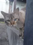 Hugo 