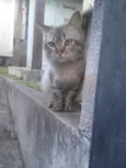Hugo 