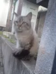 Hugo 