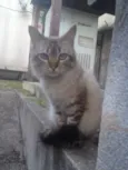 Hugo 