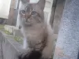 Hugo 