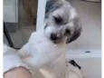 Nina