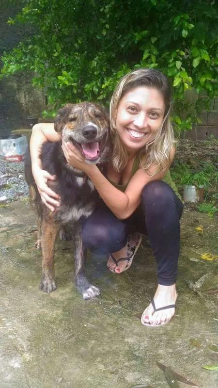 Cachorro ra a Mestiço pastor e golden idade 1 ano nome Dentinho