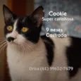 Cookie