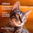 jhonny