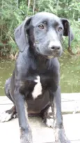 JUJUBA