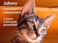 jhonny