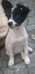 Clarinha