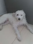 Lunna