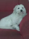 Lunna