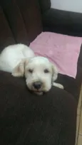 Teodoro