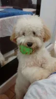 Teodoro