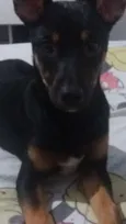 Mel