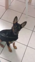 Mel
