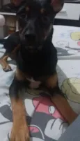 Mel