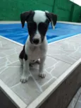 Dora
