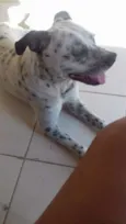 John