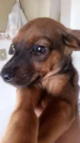 Nina