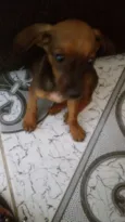 Nina