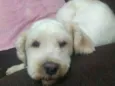 Teodoro