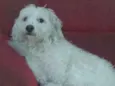 Lunna
