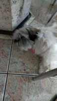 tufão
