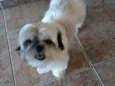 tufão