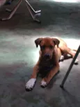 Bob