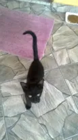 Luke 