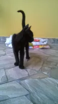 Luke 
