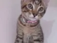 Susy