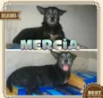 MÉRCIA!!!