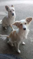 Sol