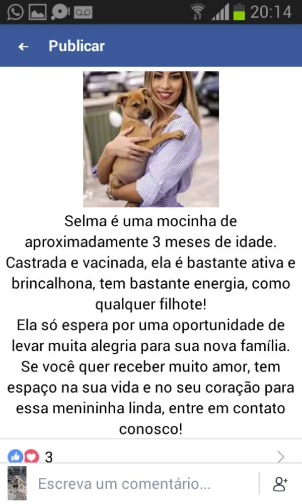 Cachorro ra a Srd idade 2 a 6 meses nome Varios