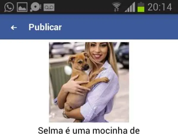 Cachorro ra a Srd idade 2 a 6 meses nome Varios