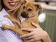 Cachorro raça Srd idade 2 a 6 meses nome Varios