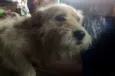KIKO