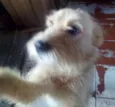 KIKO