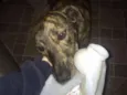 Otto