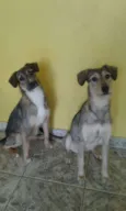 Lili e Nina