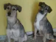 Lili e Nina