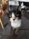 Paul