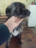 Lord