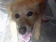 Lala