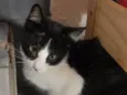 Paul