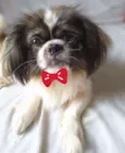 Jimmy