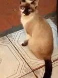 Lili