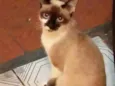 Lili
